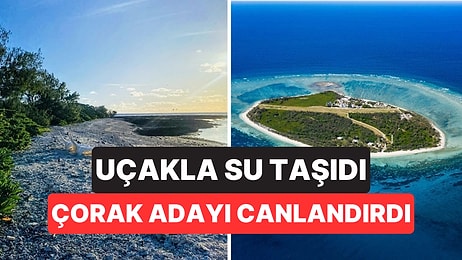 Uçağıyla Su Taşıdı, 50 Yıl Sonra Çorak Adayı Cennete Çevirdi