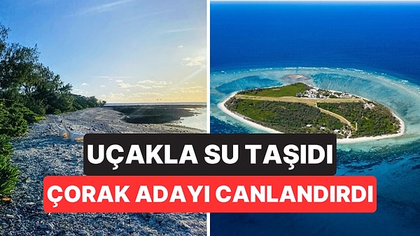 50 Yıl Sonra Çorak Adayı Cennete Çevirdi