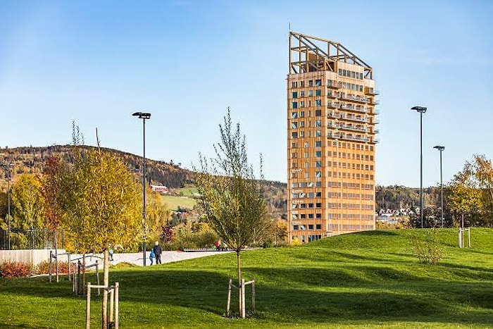 Engineers Build an 85-Meter Wooden Skyscraper Without Concrete and Steel