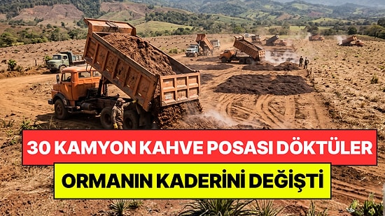 Çorak Araziye 30 Kamyon Kahve Posası Dökerek İmkansızı Başardılar