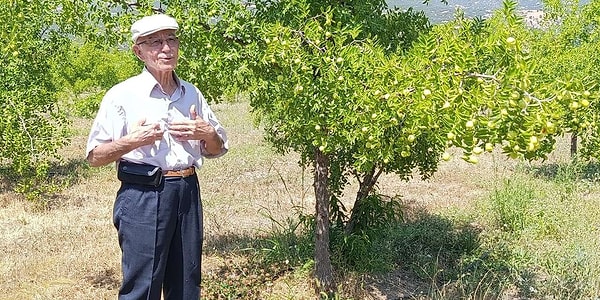 Besin değeri ve kullanım çeşitliliği bakımından zengin olan hünnap hem taze hem de kurutulmuş olarak pazarlanıyor.