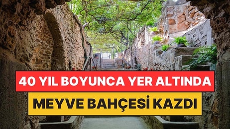 Toprağı Verimsiz Çıkınca 40 Yıl Boyunca Yer Altında Meyve Bahçesi Kazdı