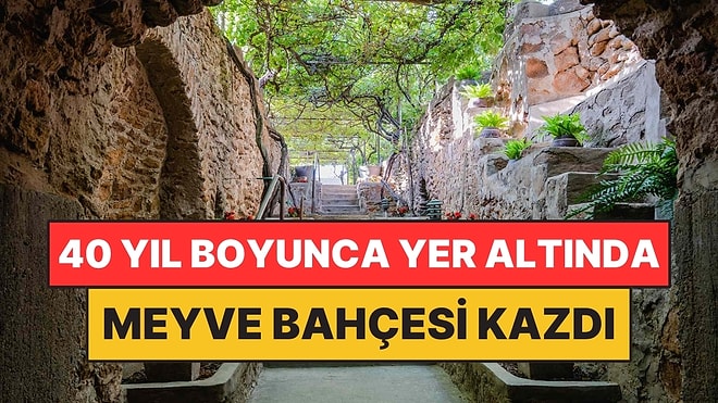 Toprağı Verimsiz Çıkınca 40 Yıl Boyunca Yer Altında Meyve Bahçesi Kazdı