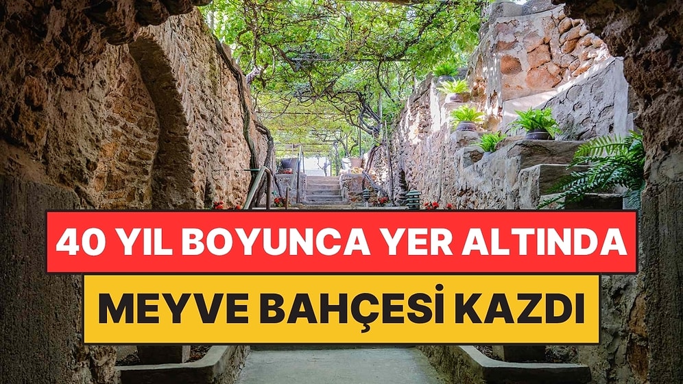 Toprağı Verimsiz Çıkınca 40 Yıl Boyunca Yer Altında Meyve Bahçesi Kazdı