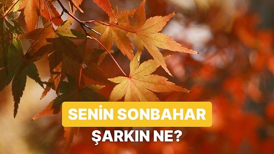 Senin Sonbahar Tercihlerine Göre Şarkın Ne Olmalı?