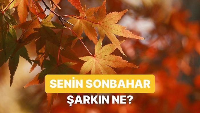 Senin Sonbahar Tercihlerine Göre Şarkın Ne Olmalı?