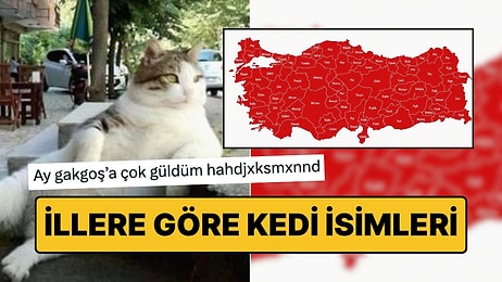Türkiye'de İllere Göre Kedilere En Çok Verilen İsimlerin Haritası Viral Oldu