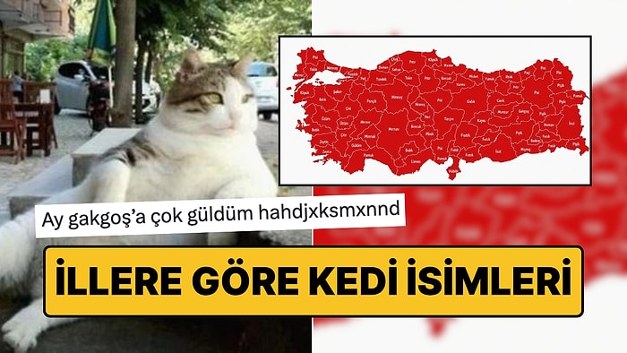 Türkiye'de İllere Göre Kedilere En Çok Verilen İsimlerin Haritası Viral Oldu