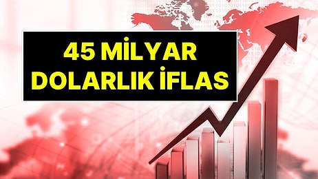 Silikon Vadisi'ni Sarsan Çöküş: 45 Milyar Dolarlık Yatırım Fonu İflas Etti