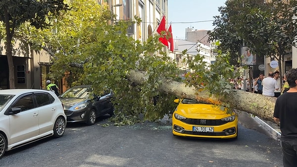 Nişantaşı'nda çınar ağacı araçların üzerine devrildi.