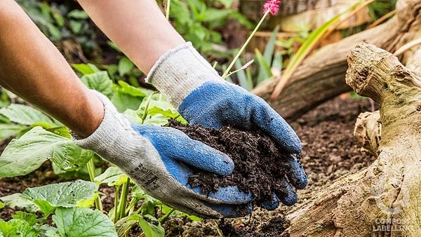 Günde sadece 20 ila 30 dakikanızı bahçe işlerine ayırmanız zihinsel dinlenme için yeterlidir.