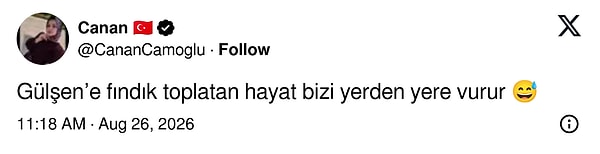 👇🏻