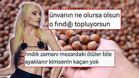 Memleketi Ordu'da Fındık Toplayan Şarkıcı Gülşen'e Kaderdaşlarından Destek Geldi