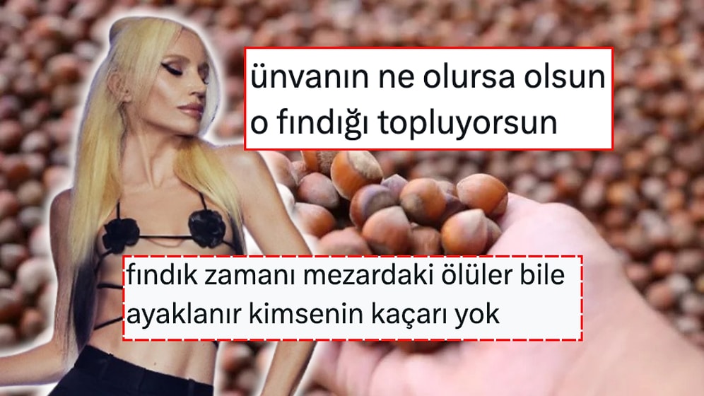 Memleketi Ordu'da Fındık Toplayan Şarkıcı Gülşen'e Kaderdaşlarından Destek Geldi