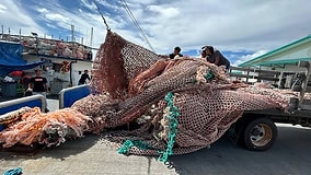 Researchers Mix 84 Tons of Ocean Fishing Nets into Asphalt for Paving Roads