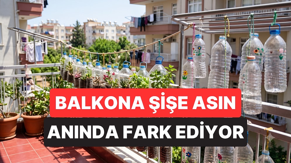 Balkona İçi Su Dolu Pet Şişe Asmanın Nedeni Bakın Neymiş