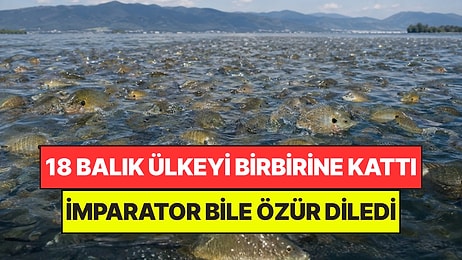 ABD'nin Hediye Ettiği 18 Balık Koskoca Ülkeyi Birbirine Kattı: İmparator Bile Özür Dilemek Zorunda Kaldı