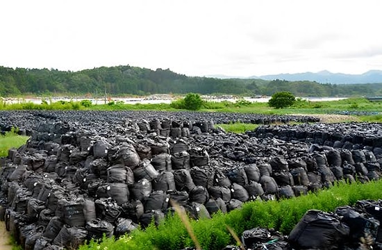 Japan PM Approves Plan to Recycle Radioactive Fukushima Soil in Public Parks