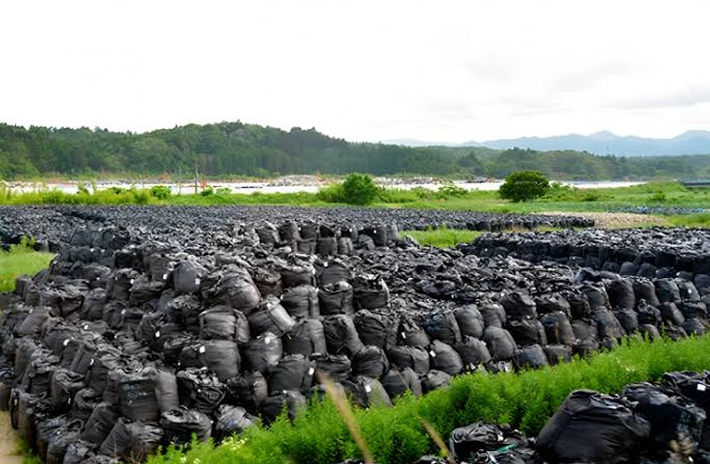 Japan PM Approves Plan to Recycle Radioactive Fukushima Soil in Public Parks