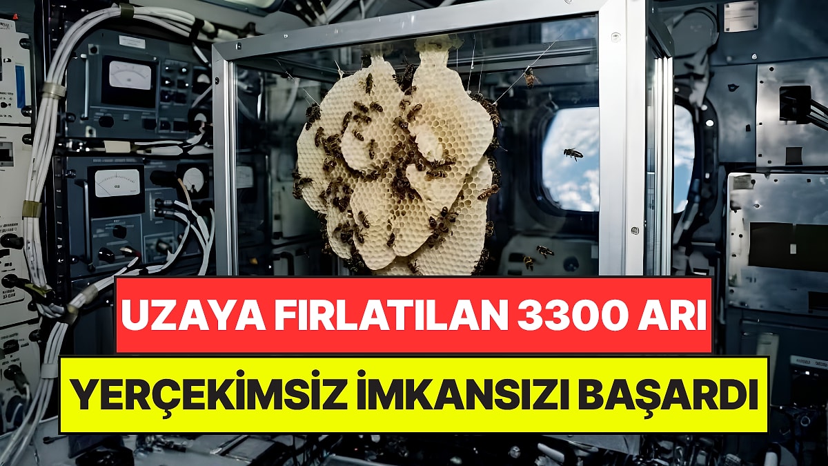 NASA'nın Uzaya Gönderdiği 3300 Arı İmkansızı Başardı: Bilim Dünyasını Şok Ettiler