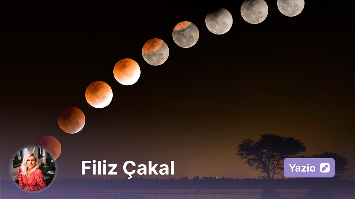28 Ağustos Balık Tutulması: Madalyonun İki Yüzü