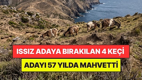 Issız Adaya Bıraktıkları 4 Keçi Felaketi Yaşattı: 57 Yıl Sonra Adayı Tahliye Etmek Zorunda Kaldılar