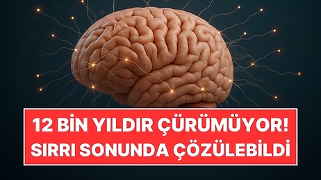 12 Bin Yıldır Çürümeyen İnsan Beyinlerinin Sırrı Çözüldü