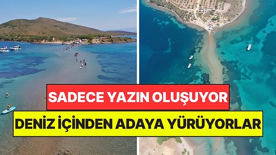 Sadece Yaz Aylarında Görülebiliyor: Denizin İçinden Yürüyerek Adadan Adaya Geçiyorlar