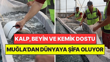 Kalp, Beyin ve Kemik Dostu: Muğla’dan Özel Araçlarla Yola Çıkıyor, Dünyaya Şifa Oluyor