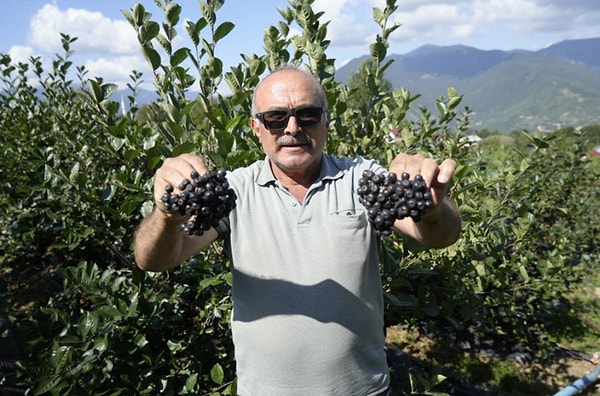Çiftçiler Pazar ve Kooperatif Desteği Bekliyor