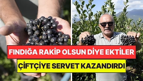 Deneme Amaçlı Ekmişlerdi: Birkaç Yıl İçinde Üreticiye Servet Kazandırmaya Başladı