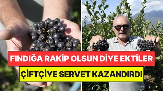 Deneme Amaçlı Ekmişlerdi: Birkaç Yıl İçinde Üreticiye Servet Kazandırmaya Başladı