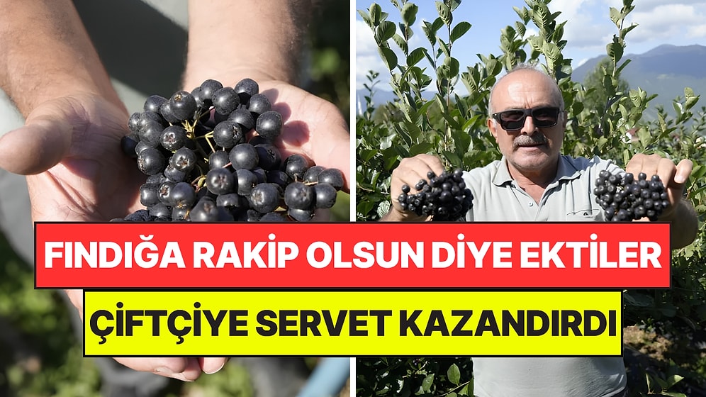 Deneme Amaçlı Ekmişlerdi: Birkaç Yıl İçinde Üreticiye Servet Kazandırmaya Başladı