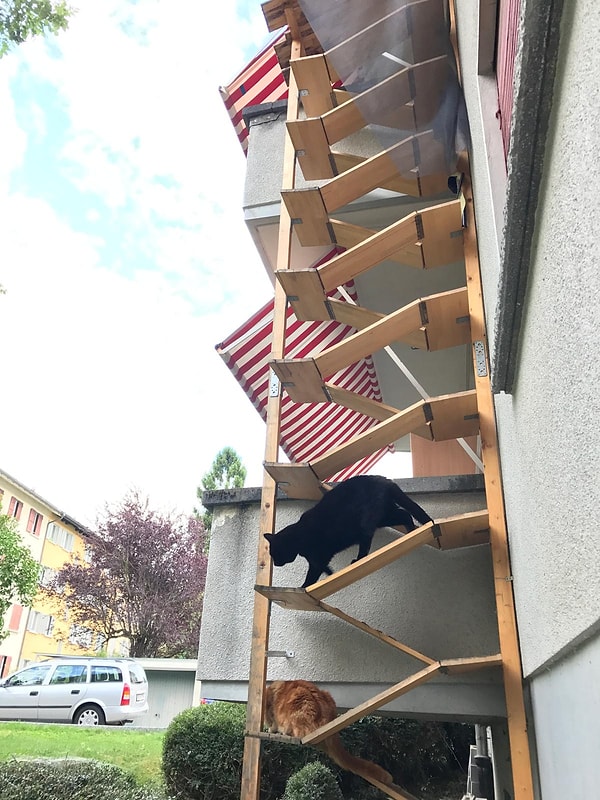 Kentteki merdivenler fotoğraflanarak kitapta toplandı