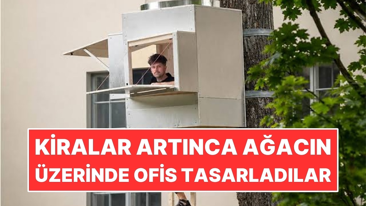 Ofis Kiraları Artınca Ağaca 1 Metrekarelik Çalışma Alanı Kurdular
