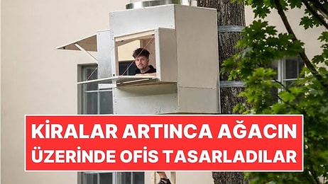 Ofis Kiraları Artınca Ağaca 1 Metrekarelik Çalışma Alanı Kurdular