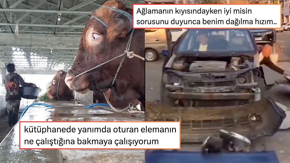 "İyi misin?" Sorusu Karşısında Dağılandan Minimal Yaz Sevinçlerine Son 24 Saatin Viral Tweetleri