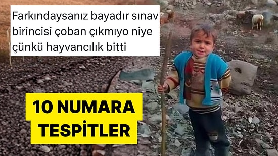 Hayata Dair Tespitlerini Mizah Sosuyla Paylaşan Kişiler