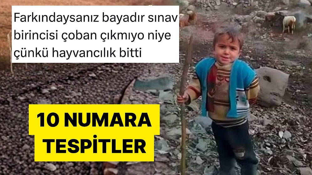 Hayata Dair Tespitlerini Mizah Sosuyla Paylaşan Kişiler