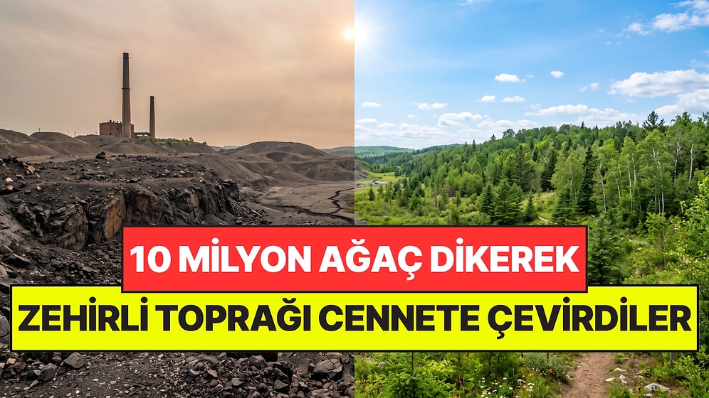 Zehirli Toprağa Diktikleri 10 Milyon Ağaç Şehrin Kaderini Değiştirdi