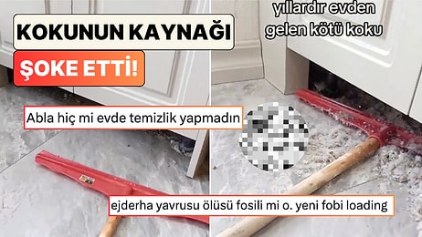 Bir Eve Temizliğe Giden İşçi Yıllardır Süren Kötü Kokunun Kaynağını Buldu