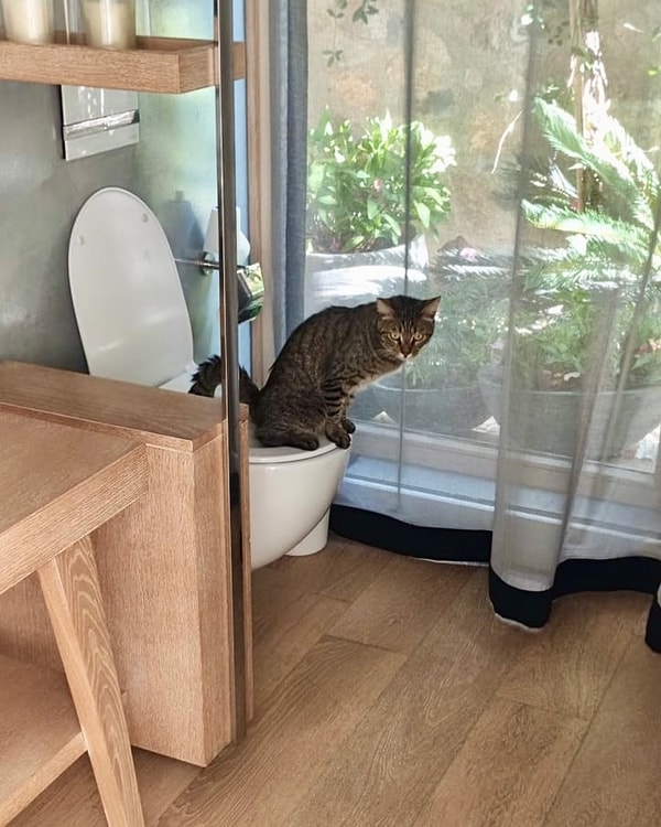 Pınar Sabancı bu kez evinin tuvaletinden bir kare paylaştı. Fakat fotoğrafta nereye bakacağımızı şaşırmamıza sebep olan bir değil, tam iki detay vardı!