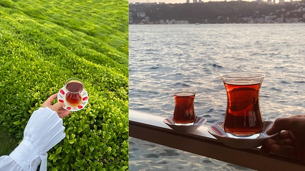 Araştırmada Başrol Siyah Çayın