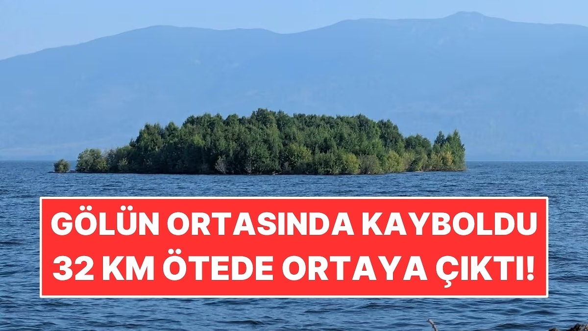 Gölün Ortasındaki 150 Metrelik Orman Kayboldu: 32 Kilometre Ötede Yeniden Ortaya Çıktı