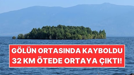 Gölün Ortasındaki 150 Metrelik Orman Kayboldu: 32 Kilometre Ötede Yeniden Ortaya Çıktı