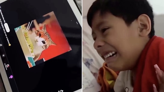 Pure Compassion: Child Breaks Down Crying Over Realistic AI Cat Video in Viral Clip