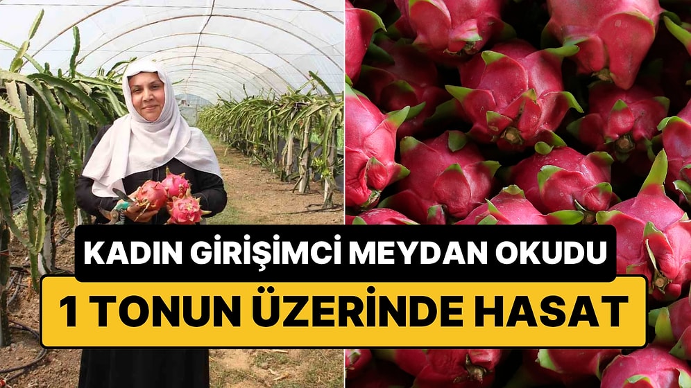 'Burada Yetişmez' Dediler: Samsun'da 480 Metrekarelik Serada Yetişiyor, Kilosu 250 TL!