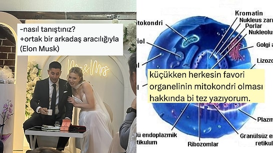 Kısmeti X'te Bulanlardan En Sevilen Organele Son 24 Saatin Viral Tweetleri
