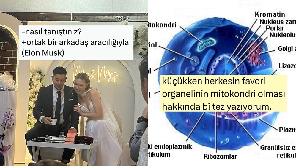 Kısmeti X'te Bulanlardan En Sevilen Organele Son 24 Saatin Viral Tweetleri