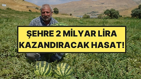 Şehre 2 Milyar Lira Kazandıracak Ürünler Tırlara Yükleniyor: Hasat Başladı